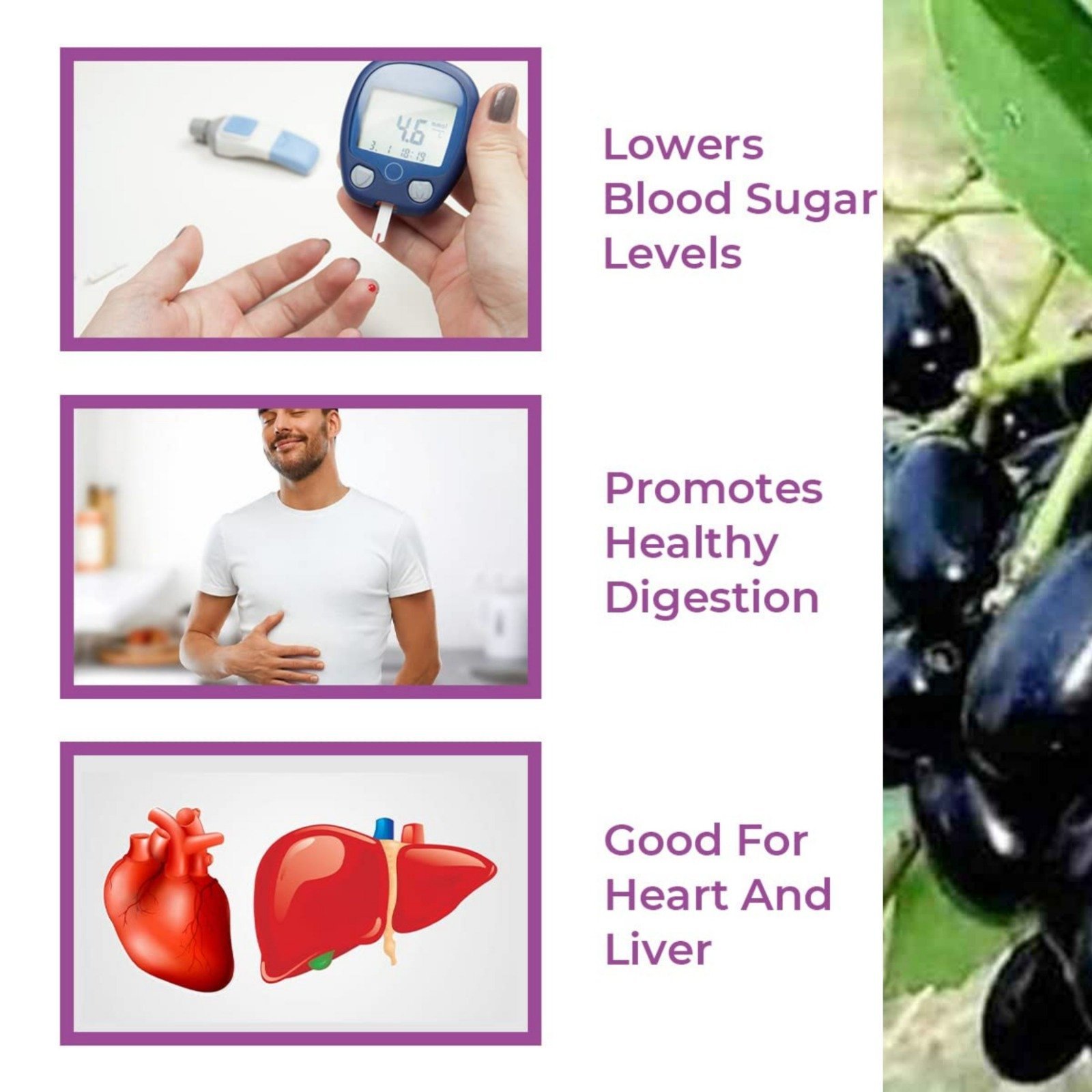 Srishma Jamun and Shilajit Powder – 210g | Ayurvedic Herbal Formula for Blood Sugar, Energy & Immunity - Image 4